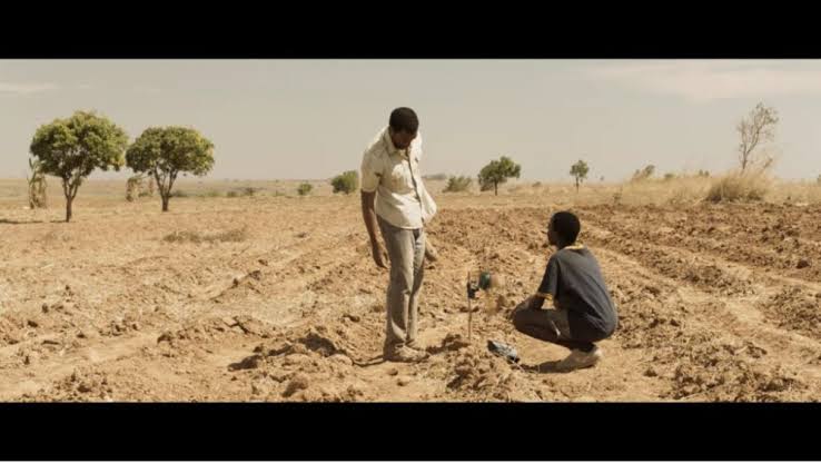 Movie Review: The boy who harnessed the wind - MediVoice