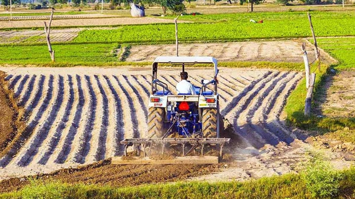 agriculture 